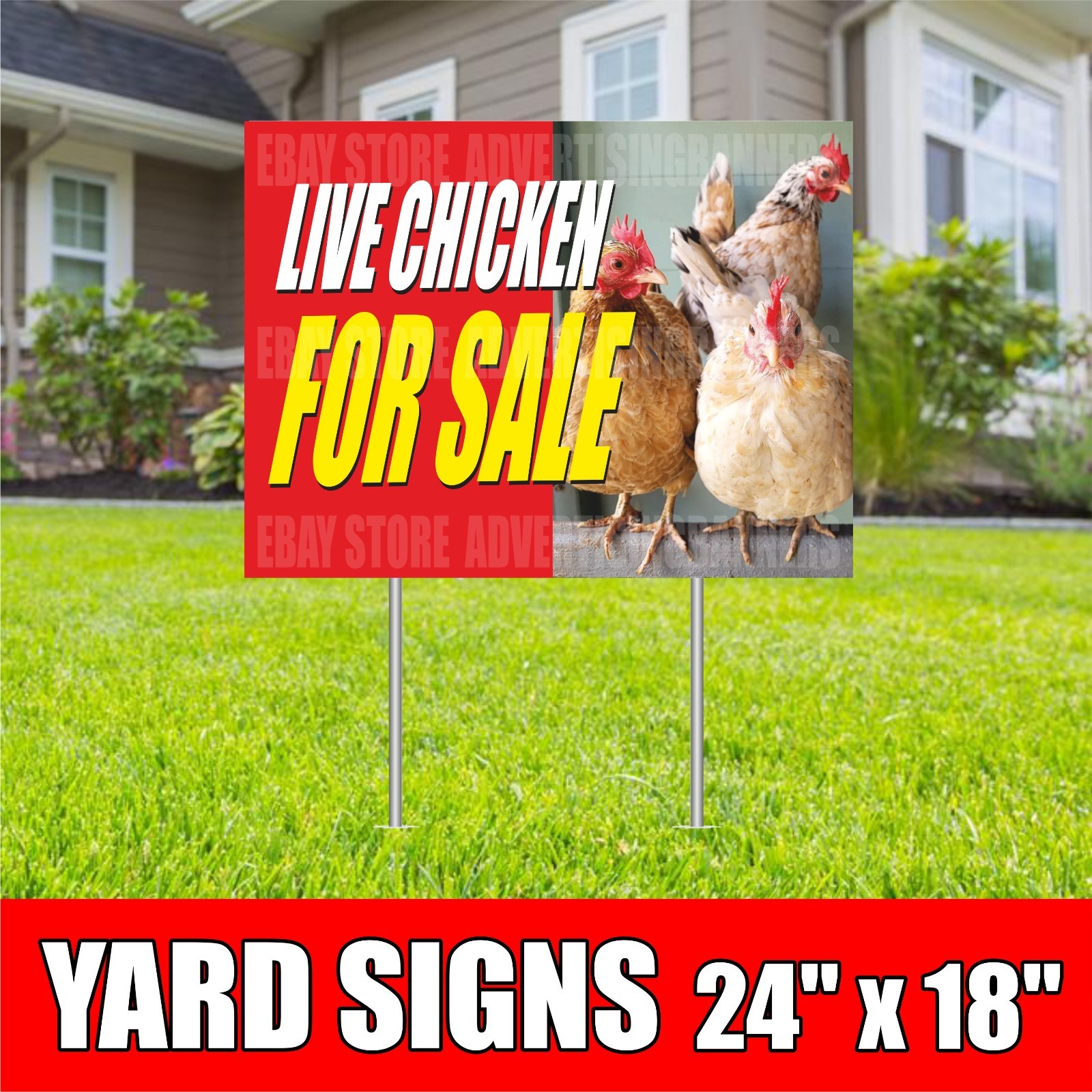 LIVE CHICKENS FOR SALE Yard Sign with H-Stakes Farmers Eggs Fair Farm Chicken