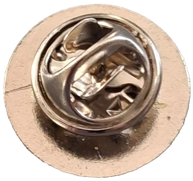 Ambleside Town Small Pin Badge Cumbria