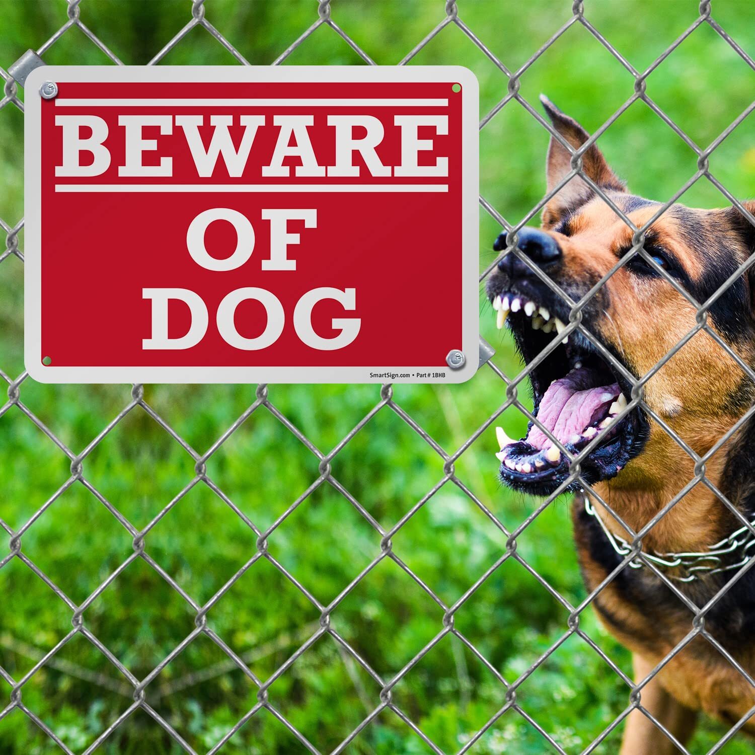 – K-2556-AL-10 “Beware of Dog” Sign | 7″ x 10″ Aluminum