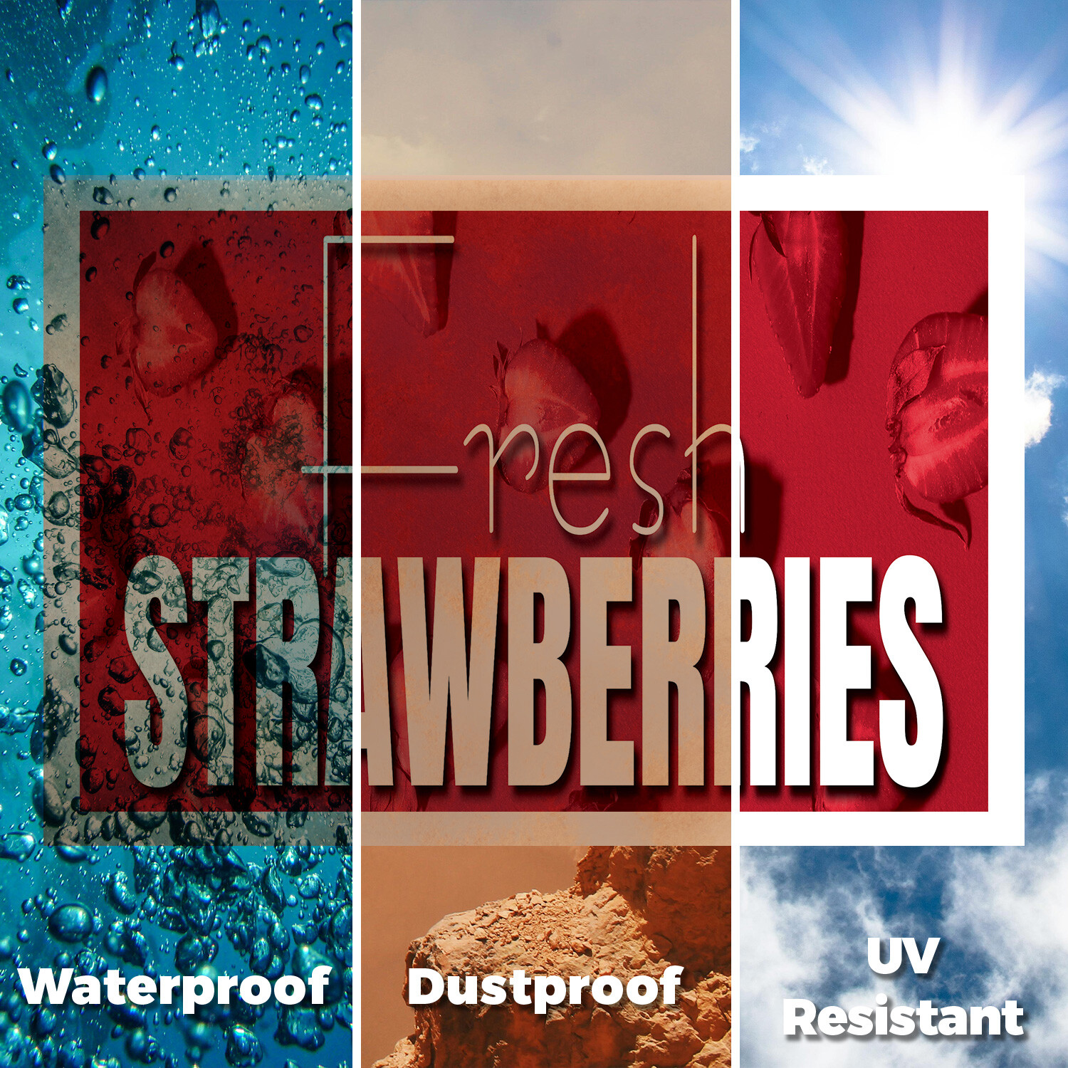 Fresh Strawberries Yard Sign Sweet and Juicy, Farmer�s Markets, Seasonal Fruits