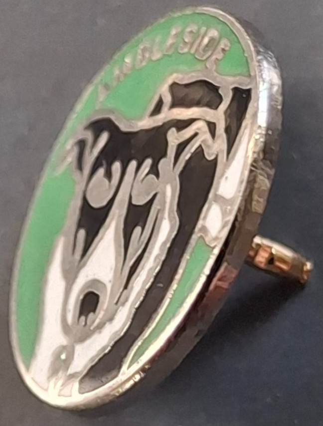Ambleside Town Small Pin Badge Cumbria