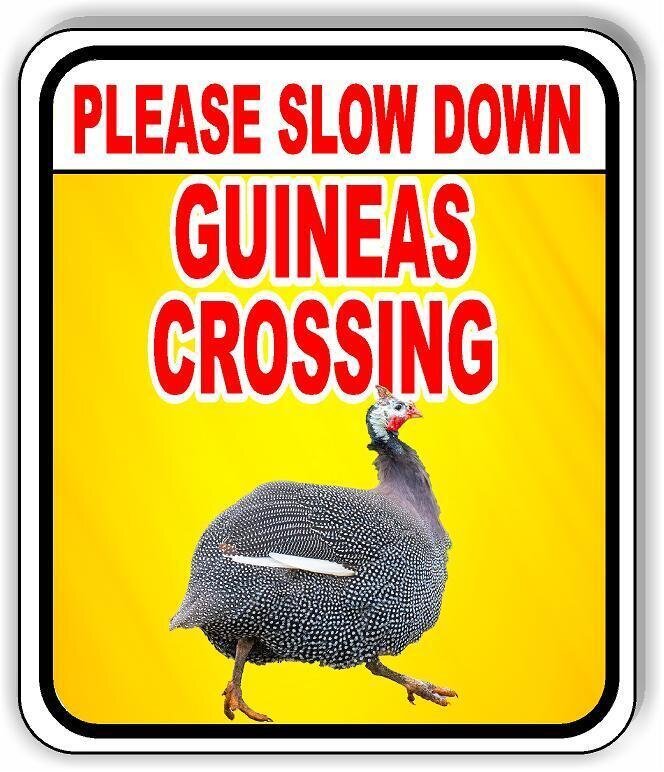 PLEASE SLOW DOWN GUINEAS CROSSING Aluminum Composite Sign
