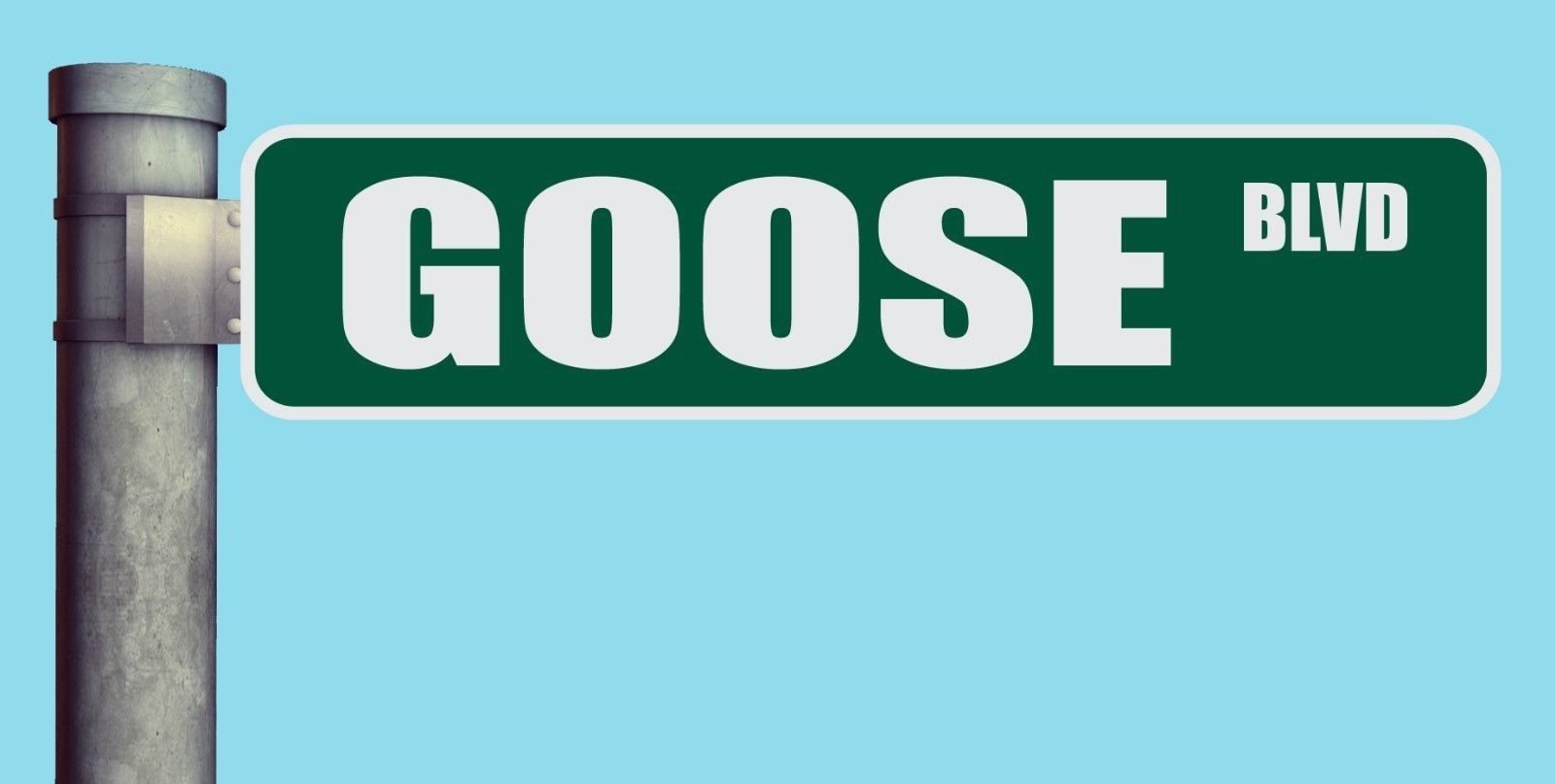 GOOSE BLVD STREET SIGN BOULEVARD HEAVY DUTY ALUMINUM ROAD SIGN 17″ x 4″