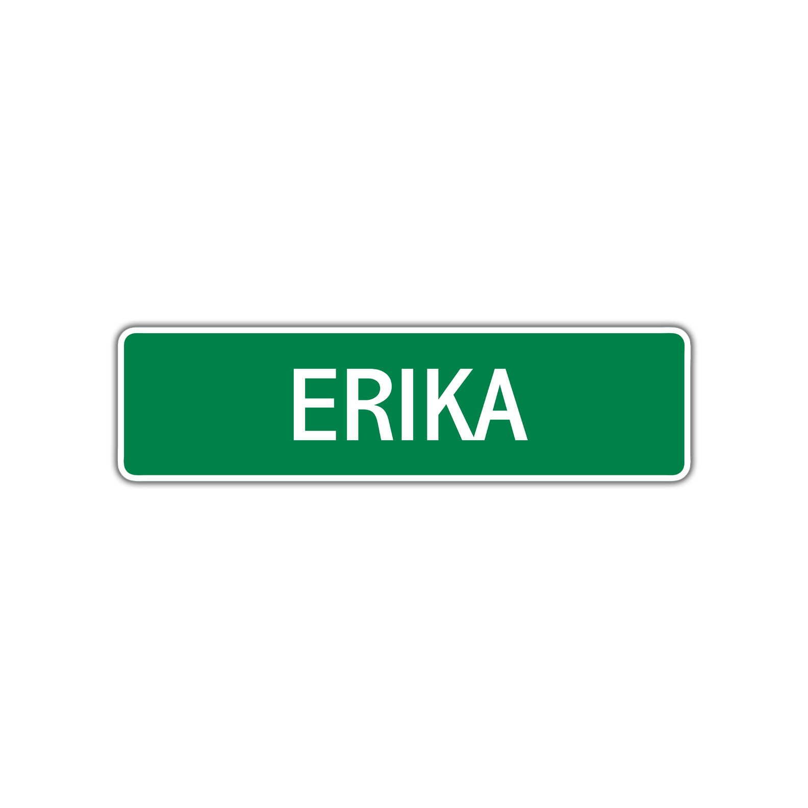 Erika Girls Name Letter Printed Label Wall Art Decor Novelty Aluminum Metal Sign