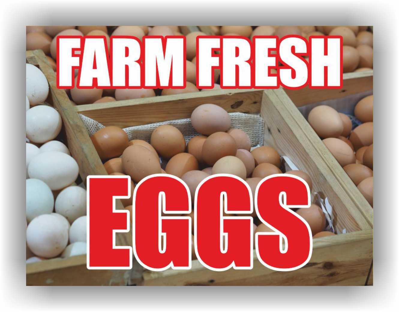 Farm Fresh Eggs Yard Sign Corrugate Plastic with H-Stakes Lawn, Chickens Farmers