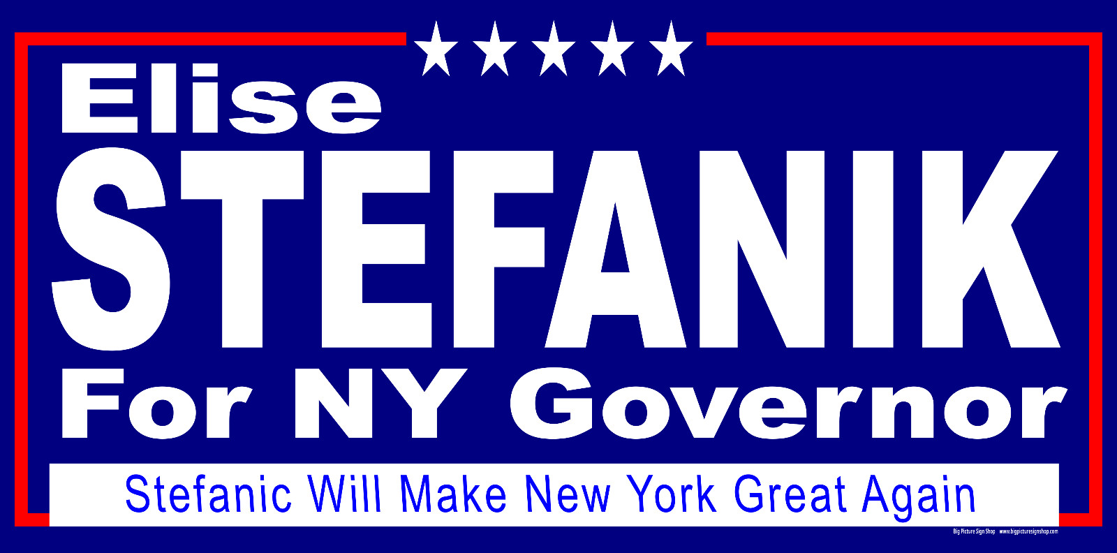 Elise STEFANIK NY GOVERNOR -Vinyl Banners-3 Choices Rd Wh Blu -Fast Ship-USA -35
