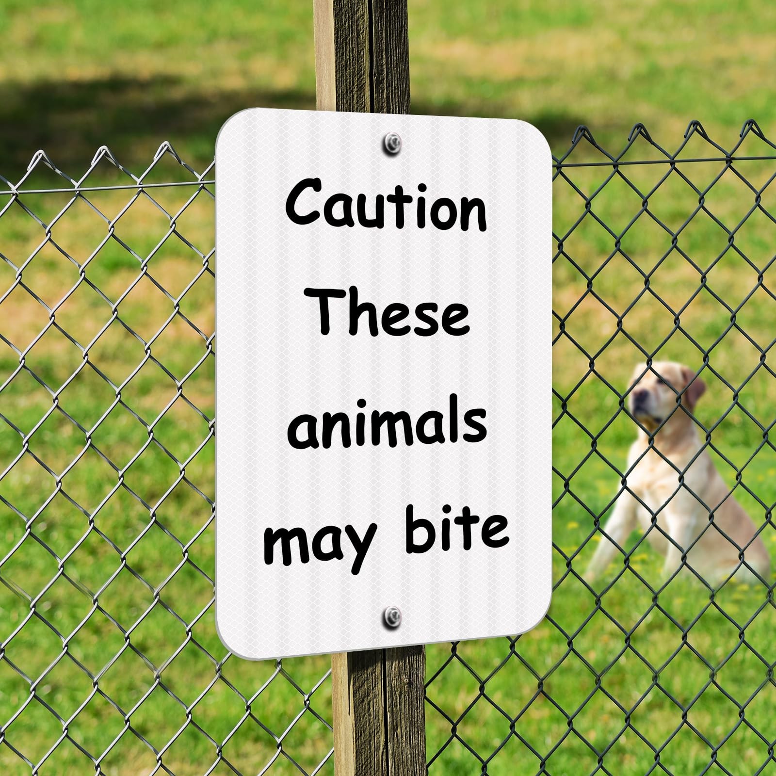 Reflective Blank Metal Sign for Outdoor Indoor,18 x 12 Inches Rust Free Aluminum