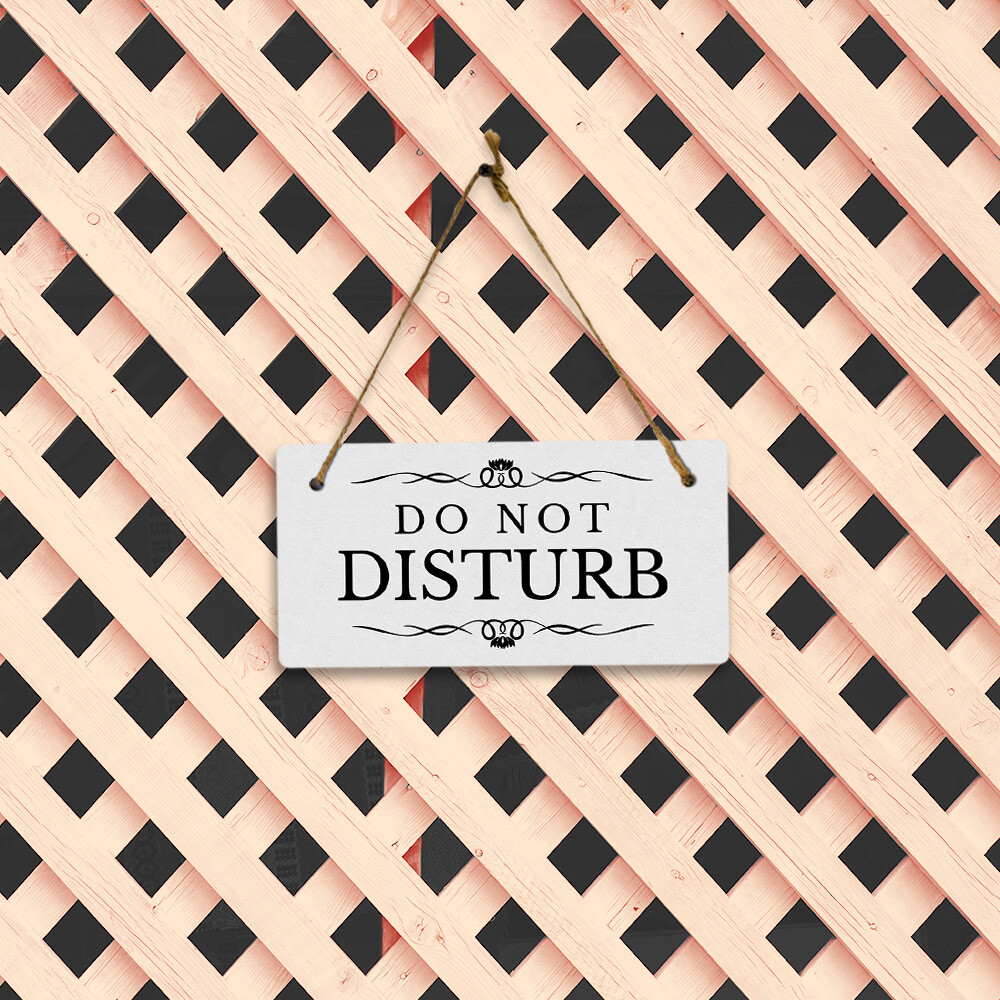 Do Not Disturb 5″ x 10″ Hanging Wall or Door Sign | Rustic Twine