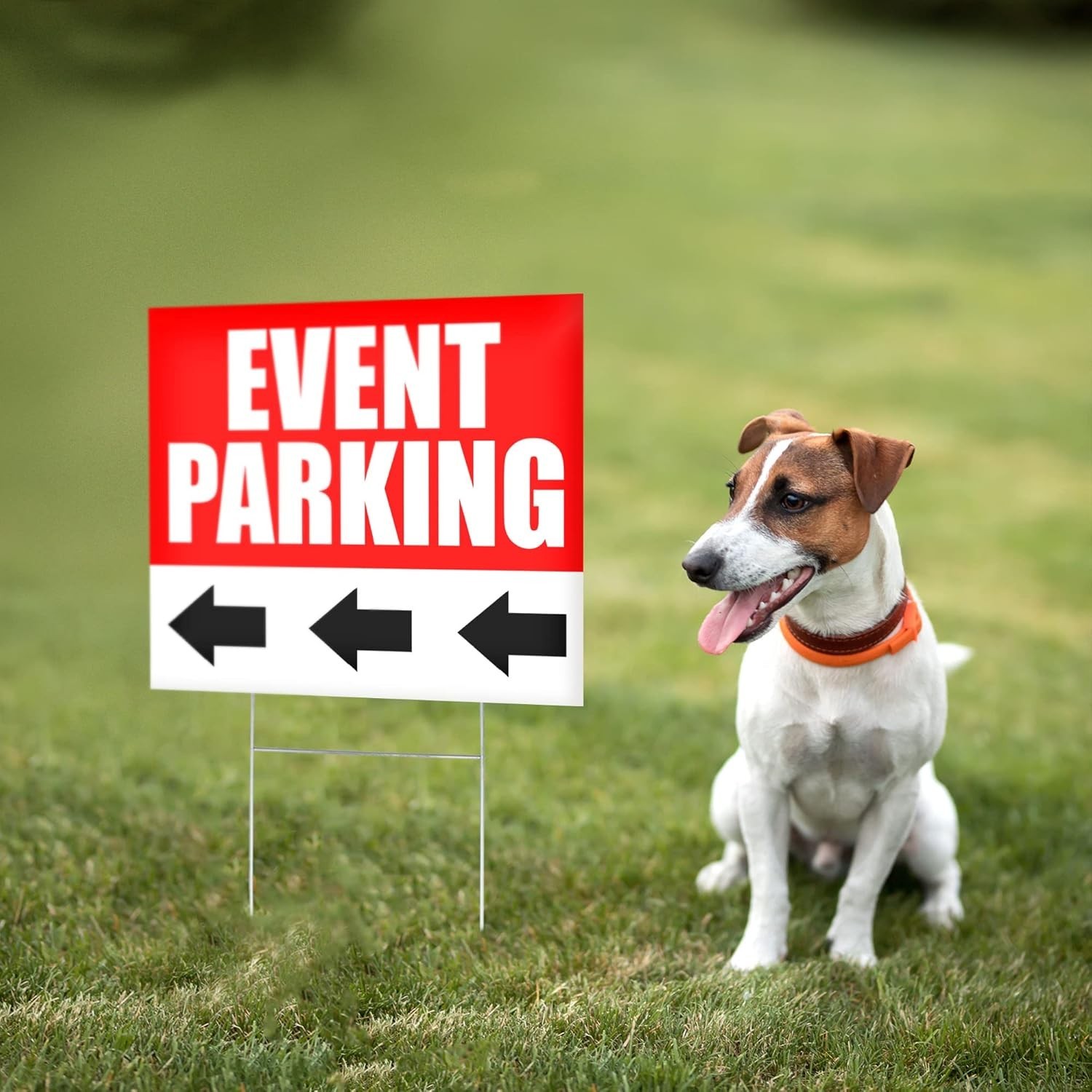 6 PC 16×12 Coroplast Event Parking Signs with Arrows Reserved Parking Sign