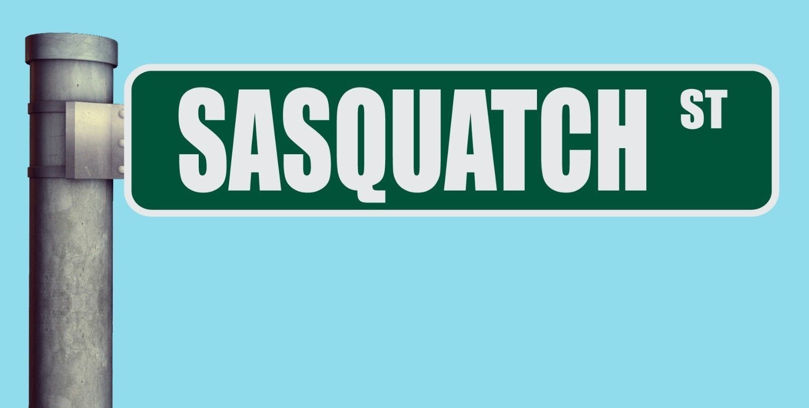 SASQUATCH ST STREET SIGN HEAVY DUTY ALUMINUM ROAD SIGN 17″ x 4″