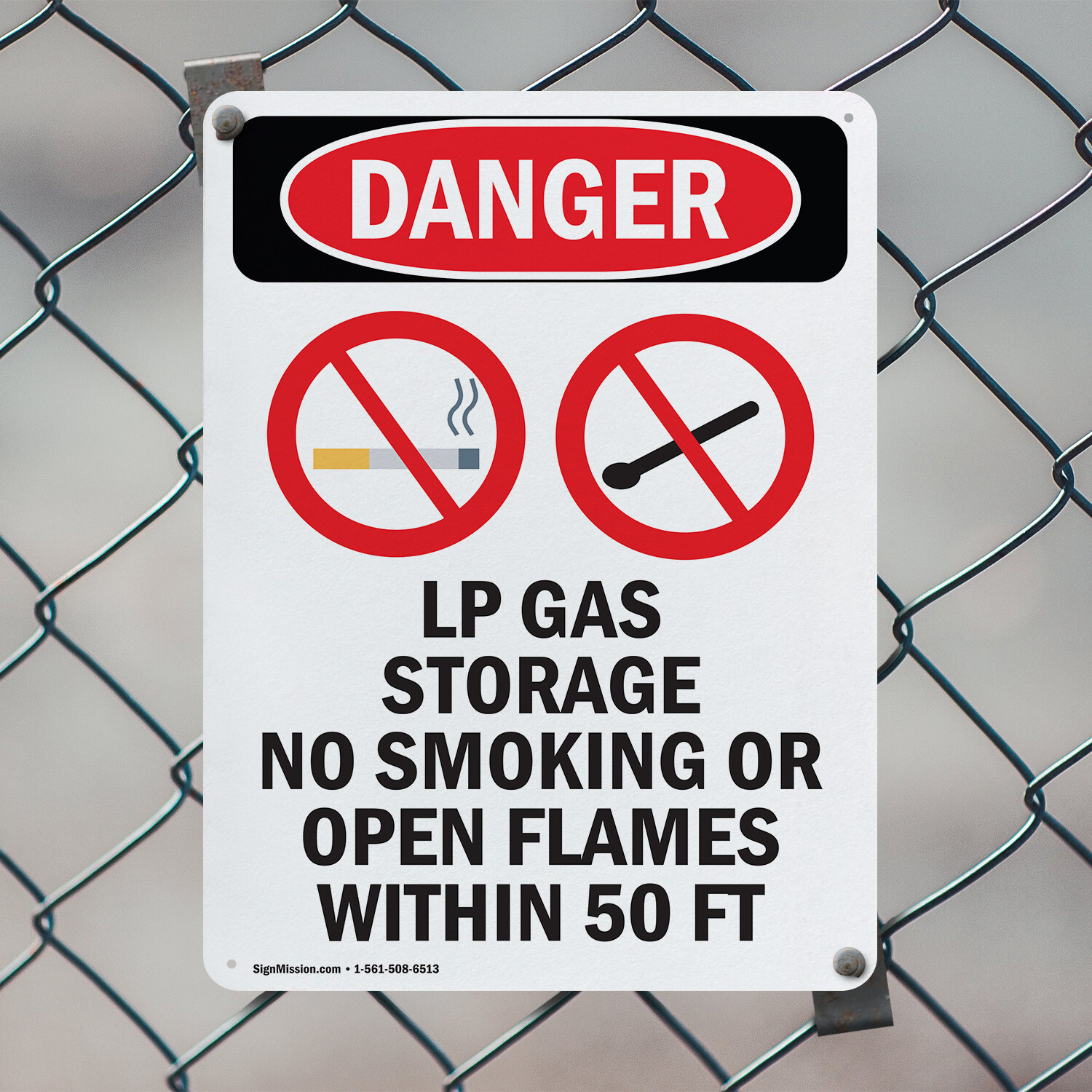(2 Pack) LP Gas Storage No Smoking OSHA Danger Sign Decal Metal Plastic