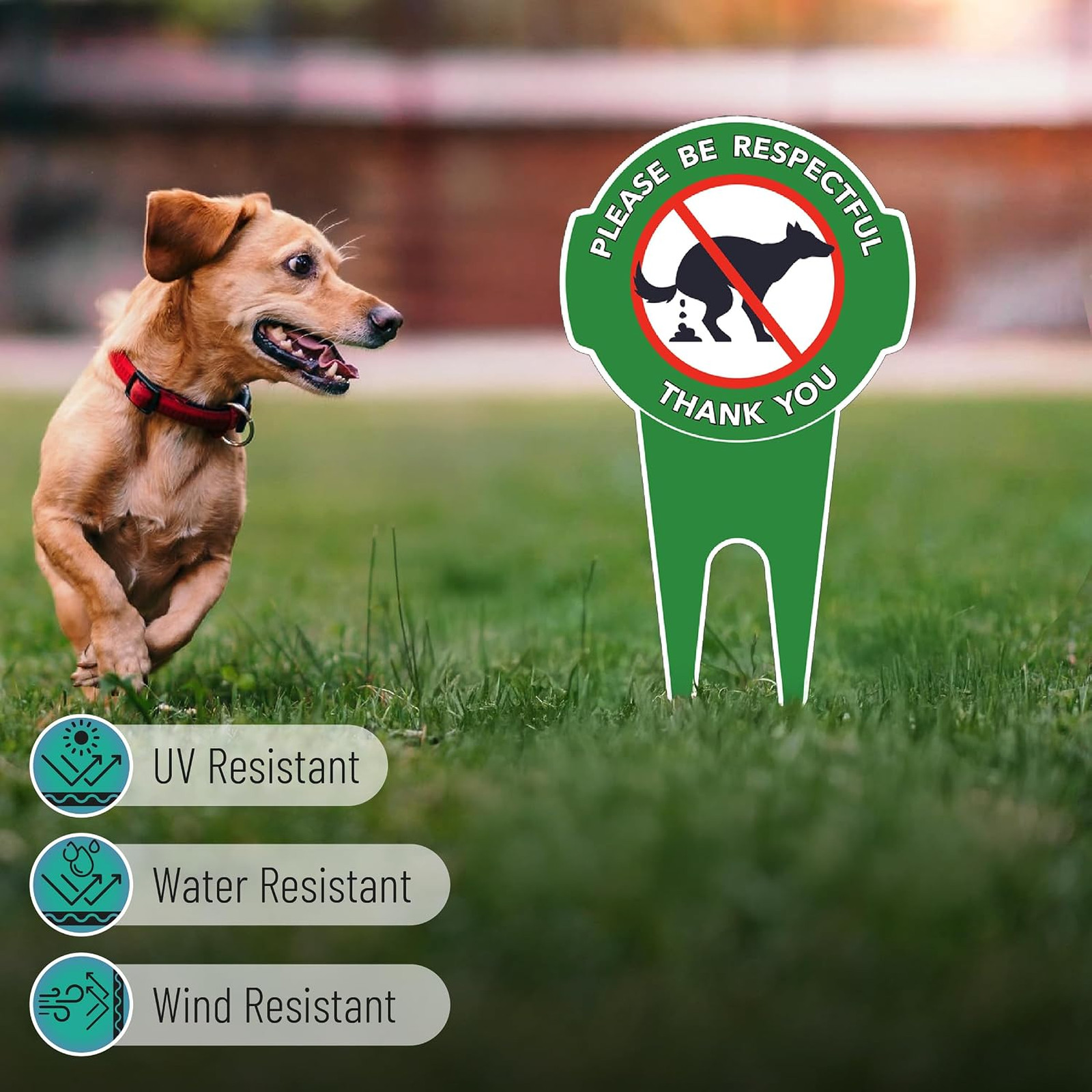 Dog Poop Signs for Yard Aluminum 12×6.5 Weatherproof Stake Lawn Garden Outdoor