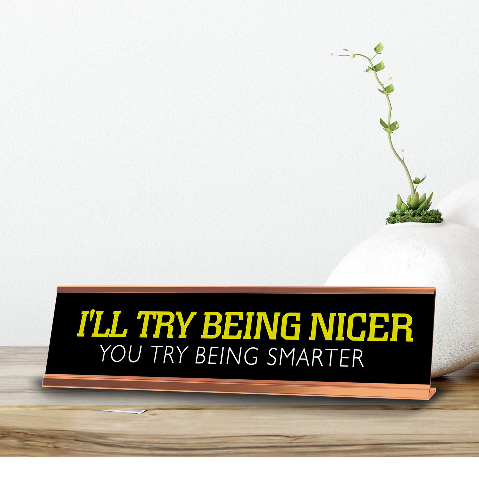 I’ll Try Being Nicer You Try Being Smarter Novelty Desk Sign (2×10″)