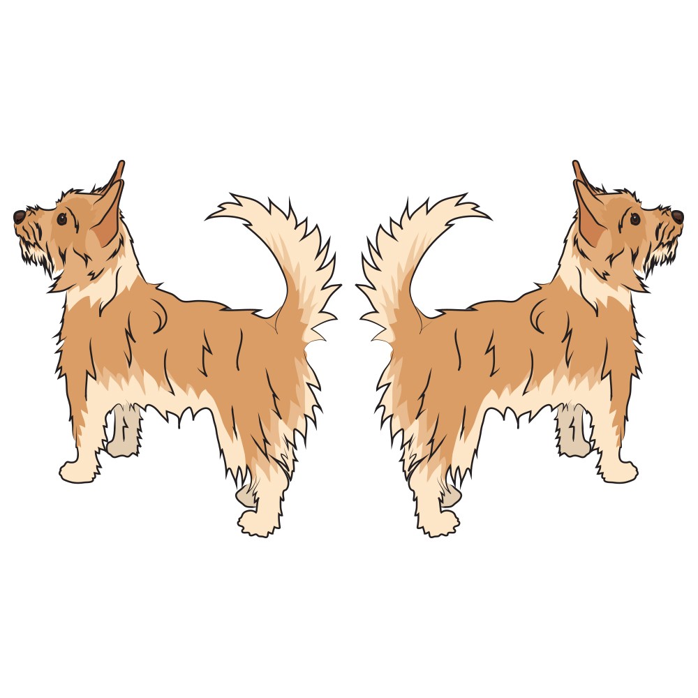 Portuguese Podengo Pequeno Dog Decal Dog Lover Decor Vinyl Sticker