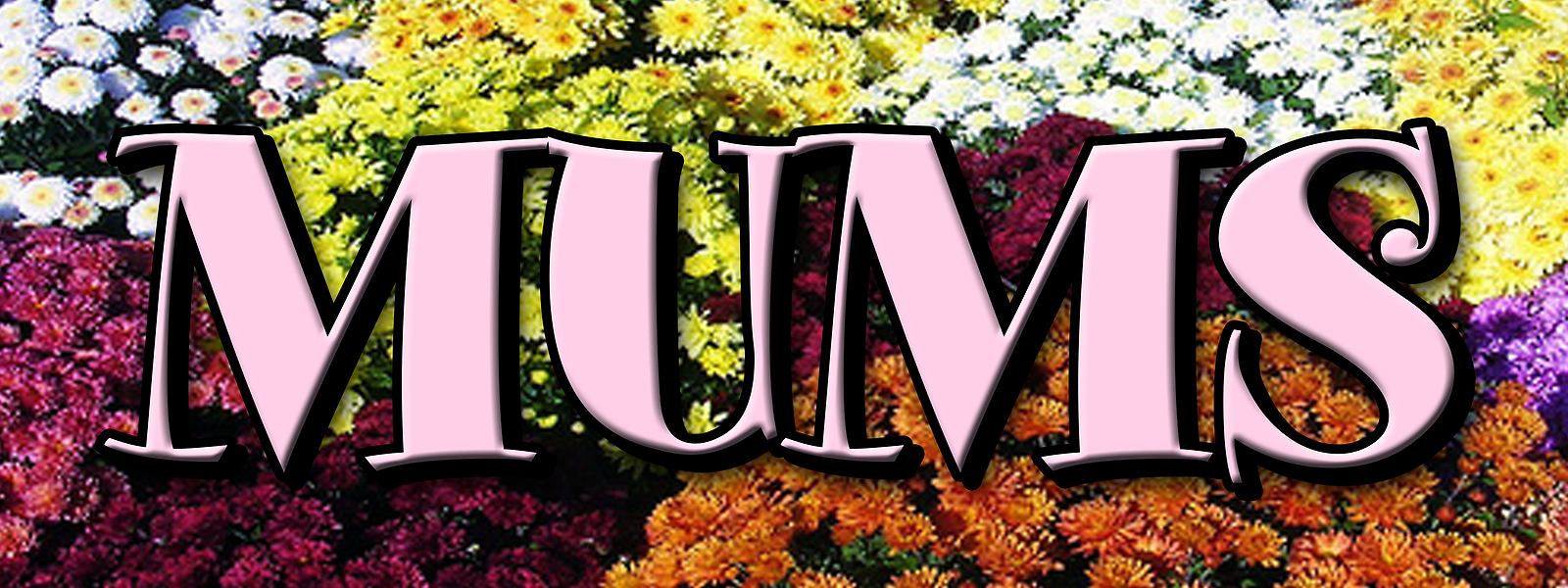 MUMS DECAL sticker flower florist shop shoppe plants rose plant supplies
