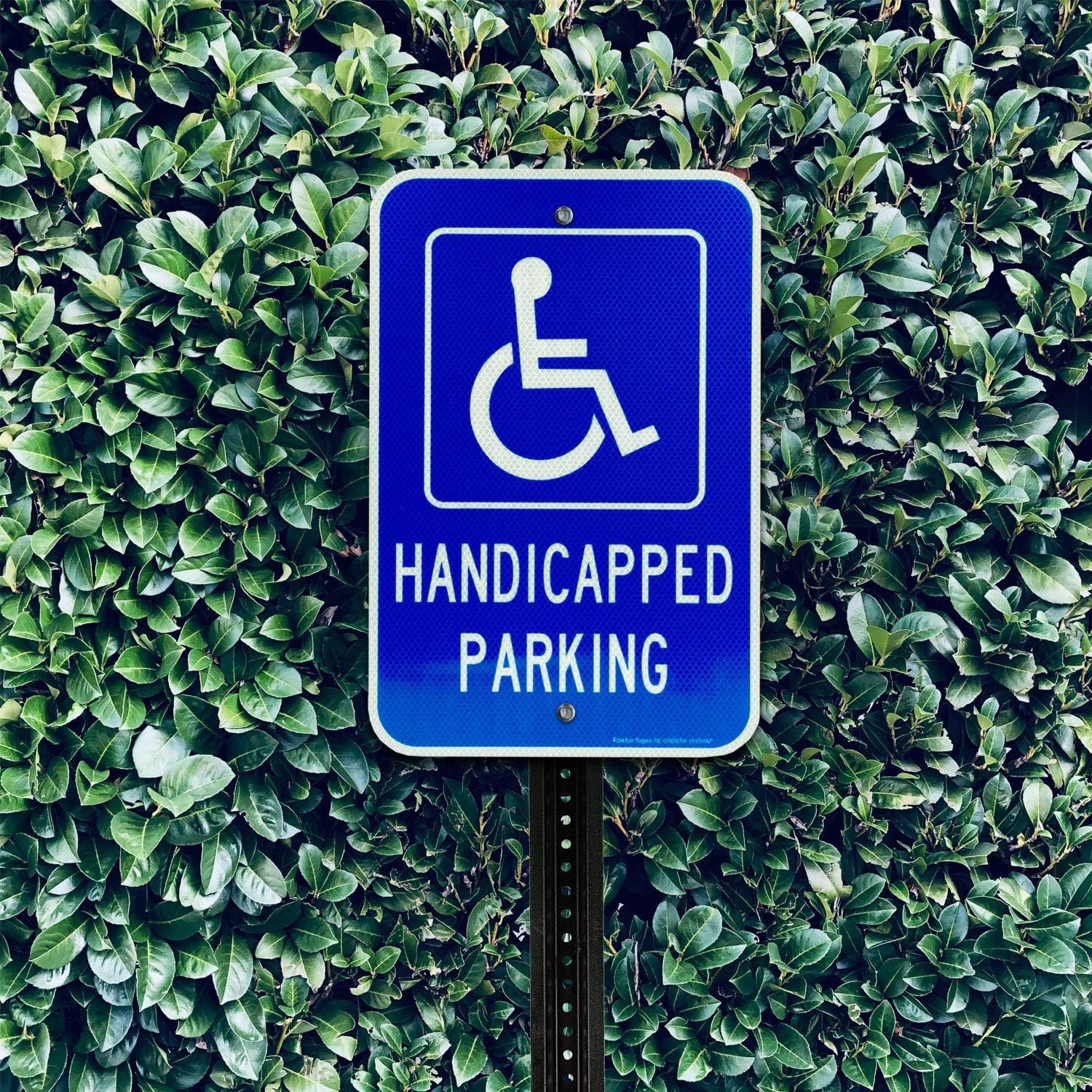 Handicap Parking Sign, with Picture of Wheelchair Sign, 18 x 12 Inches Engine…
