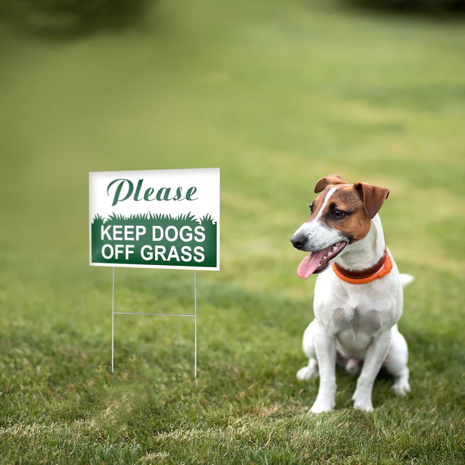 3 PC Keep Dogs off Lawn Sign, 6X9 Coroplast No Pets Allowed, Please Stay off Gra