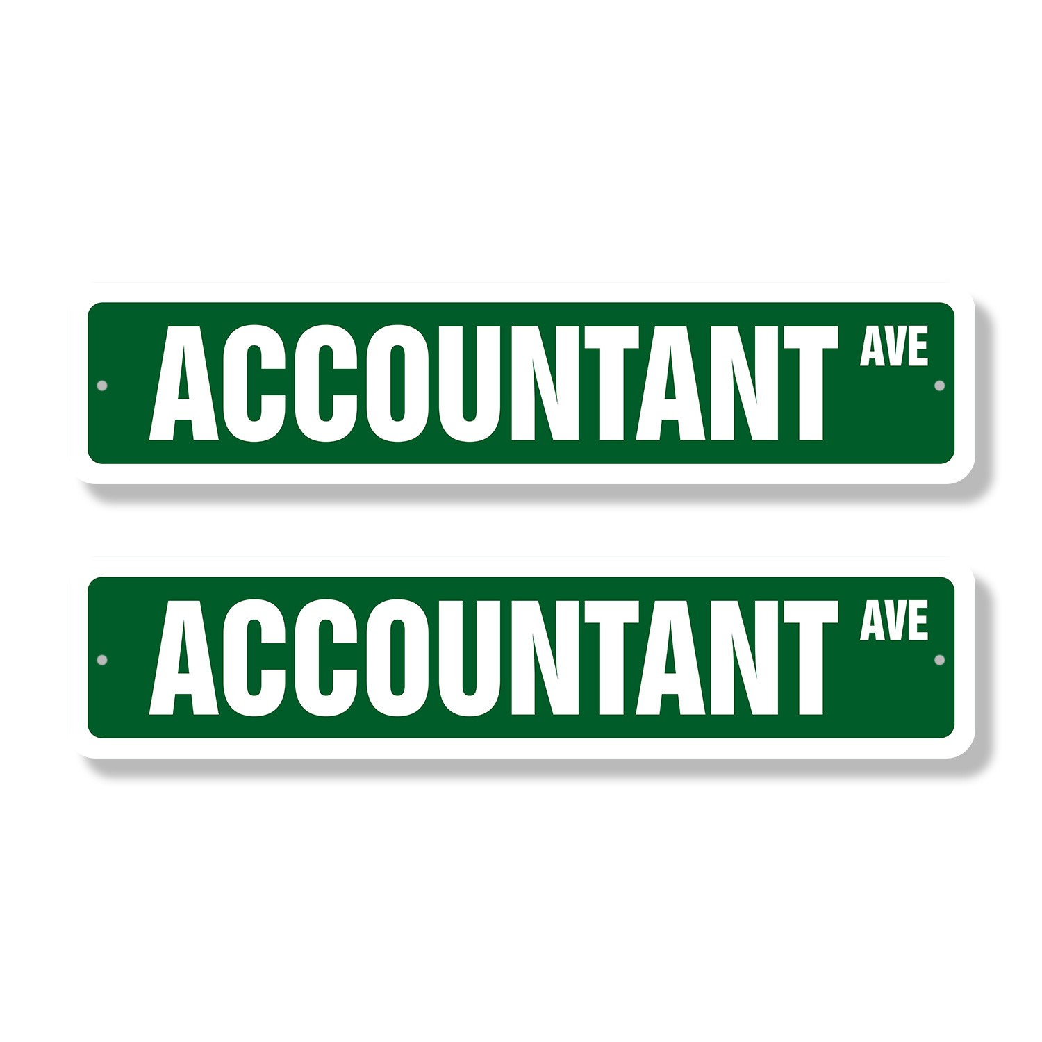 ACCOUNTANT Street Sign (2 Pack) Metal Road Sign math bean counter count CPA