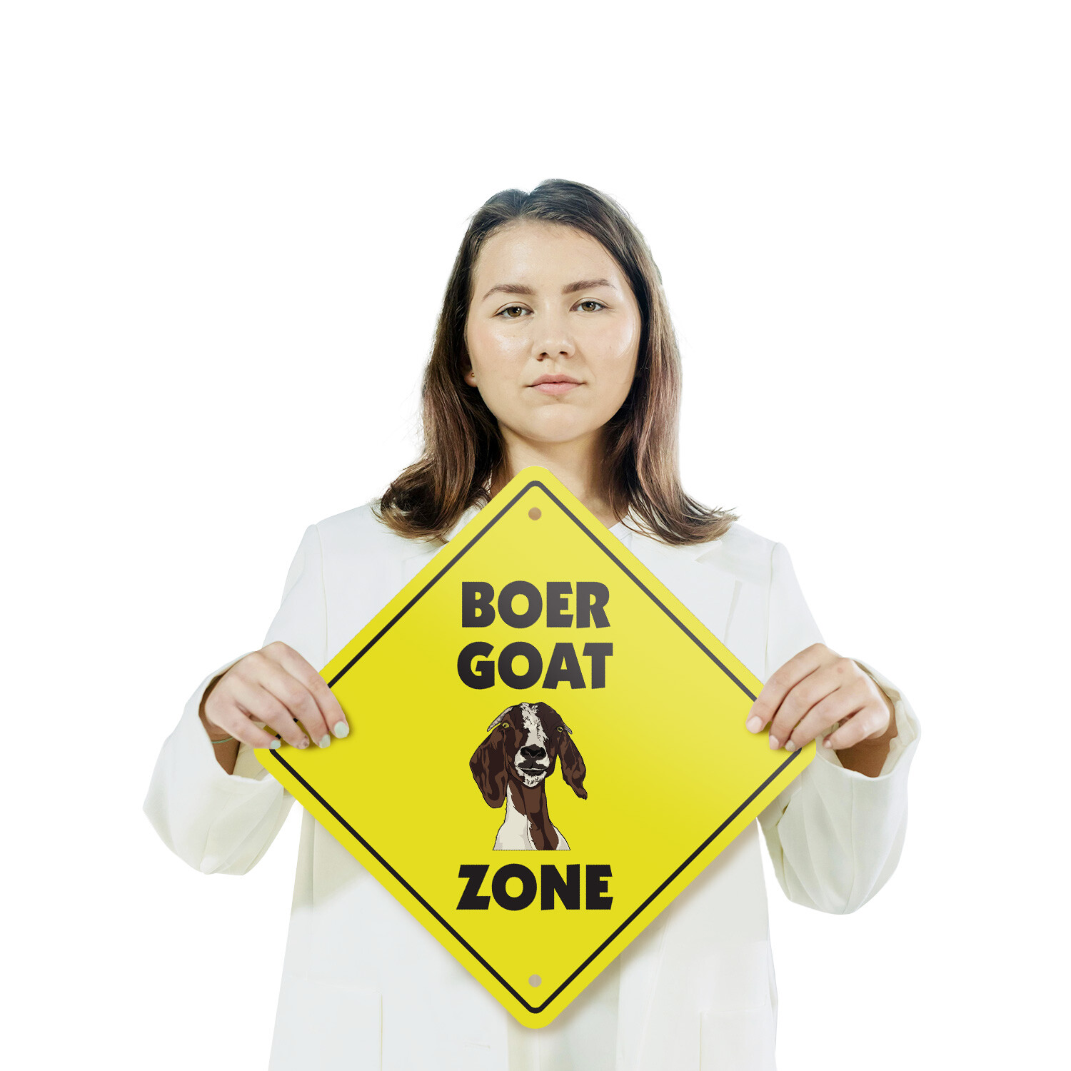 Boer Goat (3 Pack) Plastic Street Sign Crossing Warning Vintage Rustic Beware