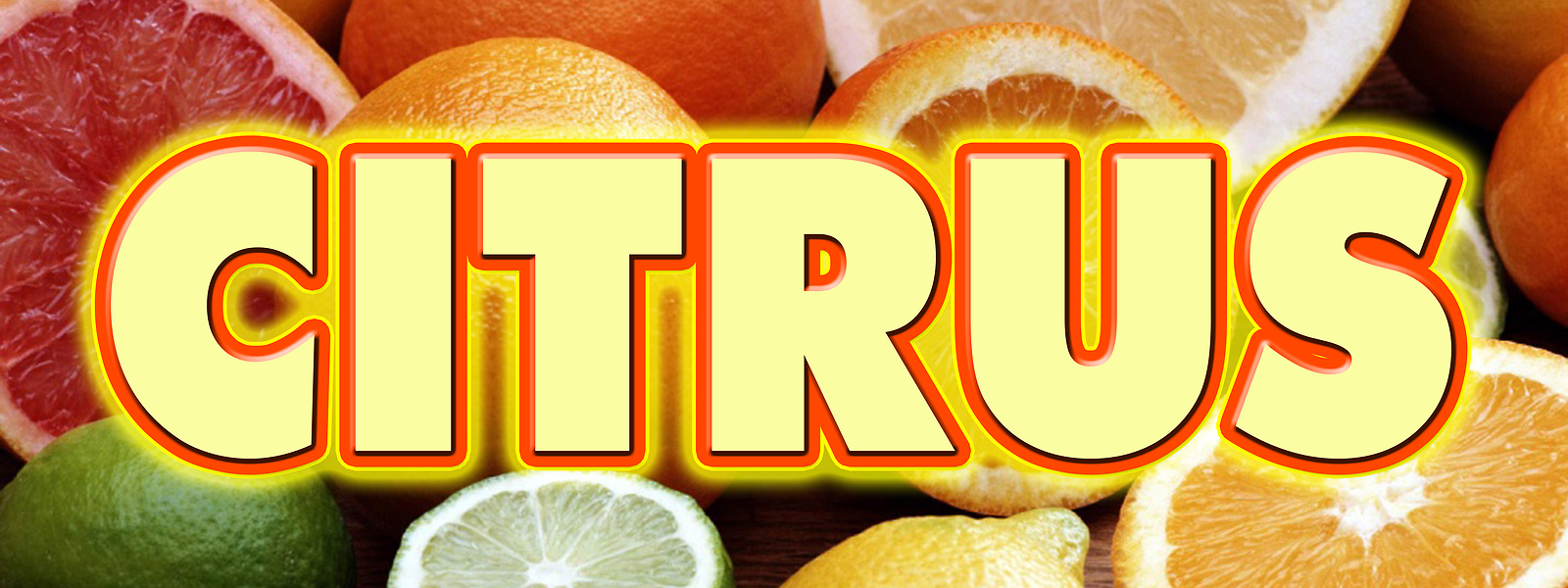 CITRUS DECAL sticker florida orange grapefruit fruit display marketing