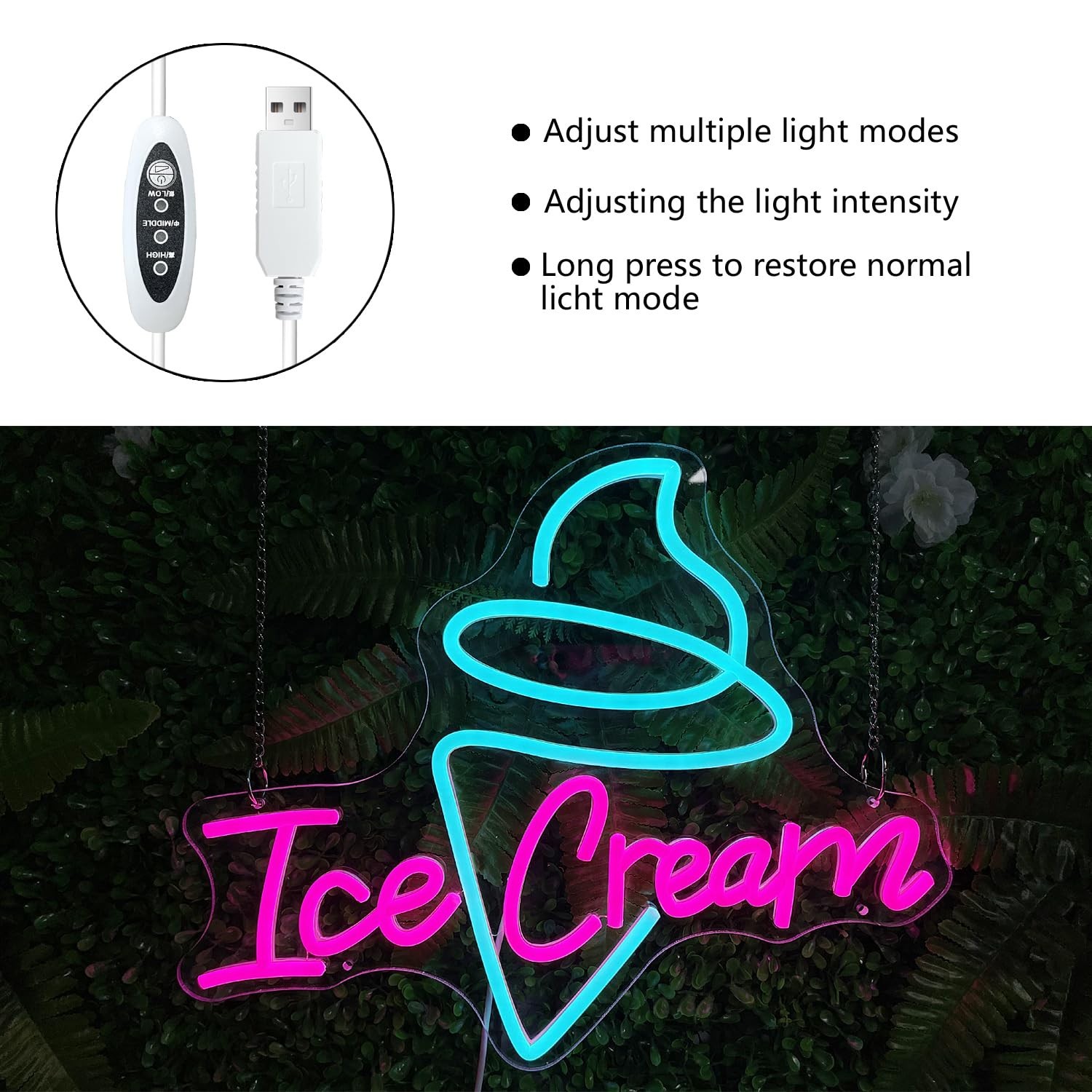 Ice Cream Neon Sign – Dimmable USB Ice Cream Letter Neon Light Up Signs for B…