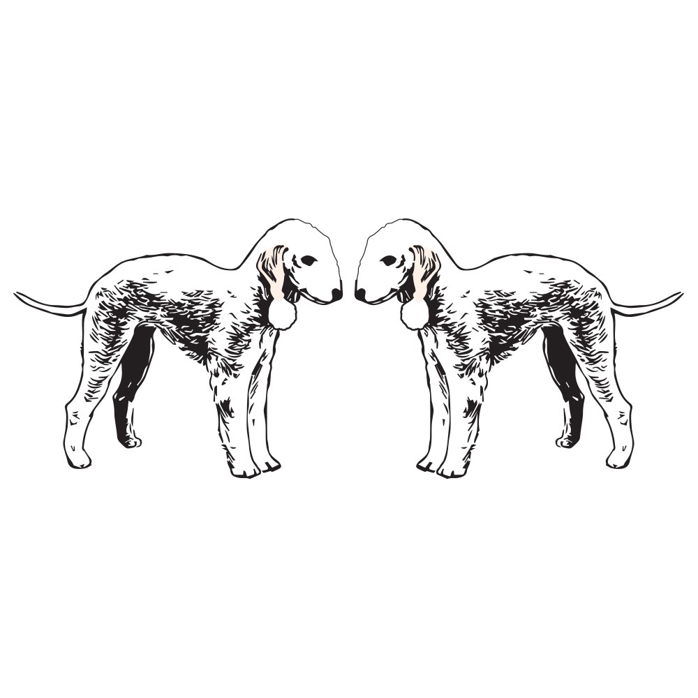 Bedlington Terrier Dog Decal Dog Lover Decor Vinyl Sticker