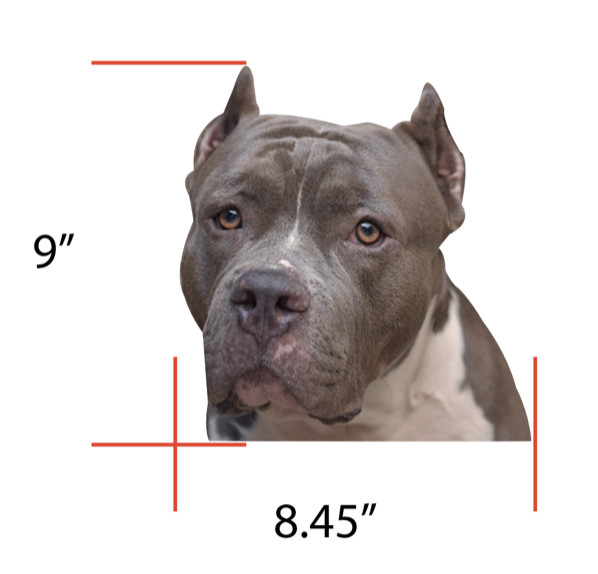 (1) Pitbull Staffordshire Terrier DOG Peeper Sticker Window Decal Car Auto BIG