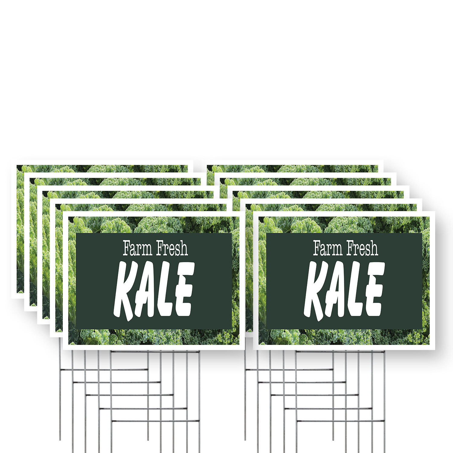 Farm Fresh Kale Yard Sign Healthy Greens, Locally Grown, Fresh Produce