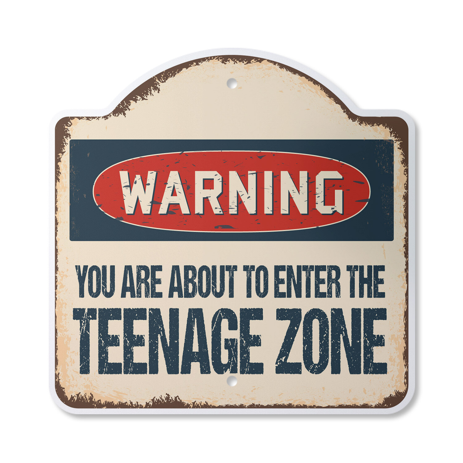 You Are About To Enter The Teenage Zone Novelty Plastic Sign