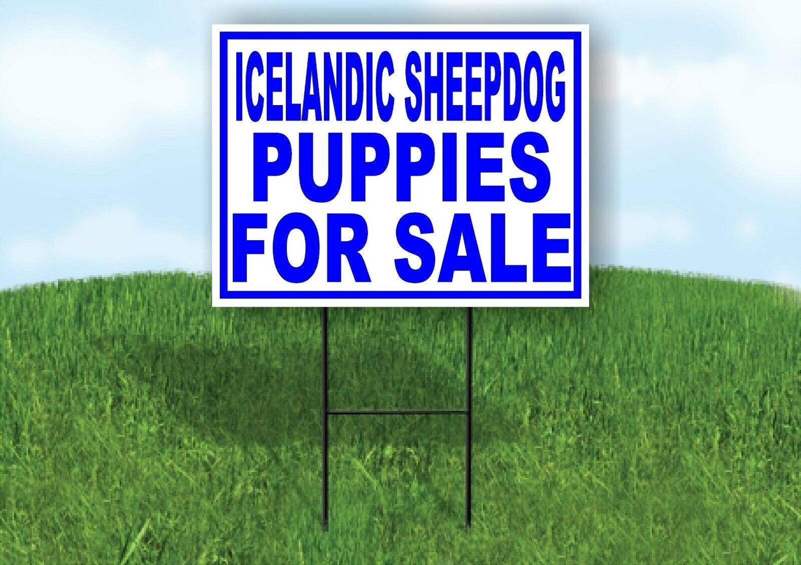 Icelandic Sheepdog PUPPIES FOR SALE BLUE Yard Sign Road with Stand LAWN SIGN