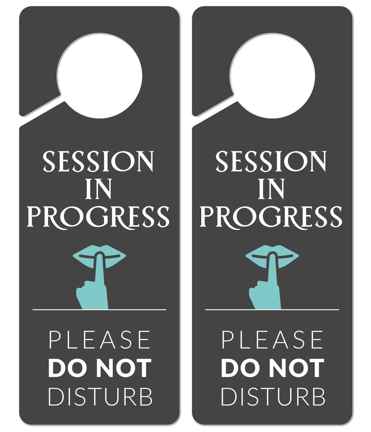 Do Not Disturb Door Hanger Sign, 2 Pack, Please Do Not Disturb Sign, Session …