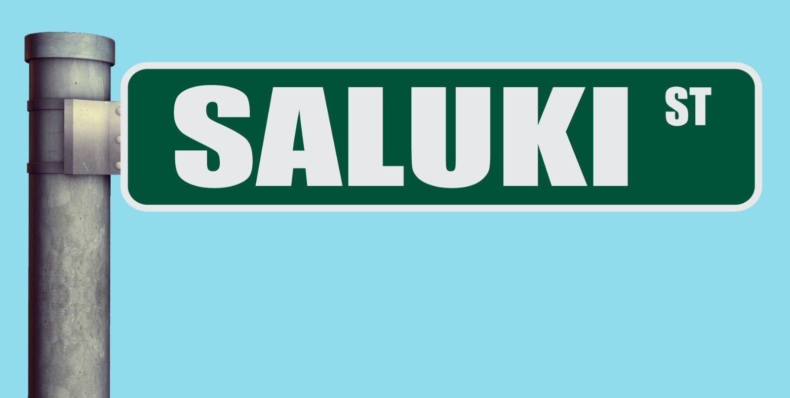 SALUKI ST STREET SIGN HEAVY DUTY ALUMINUM ROAD SIGN 17″ x 4″