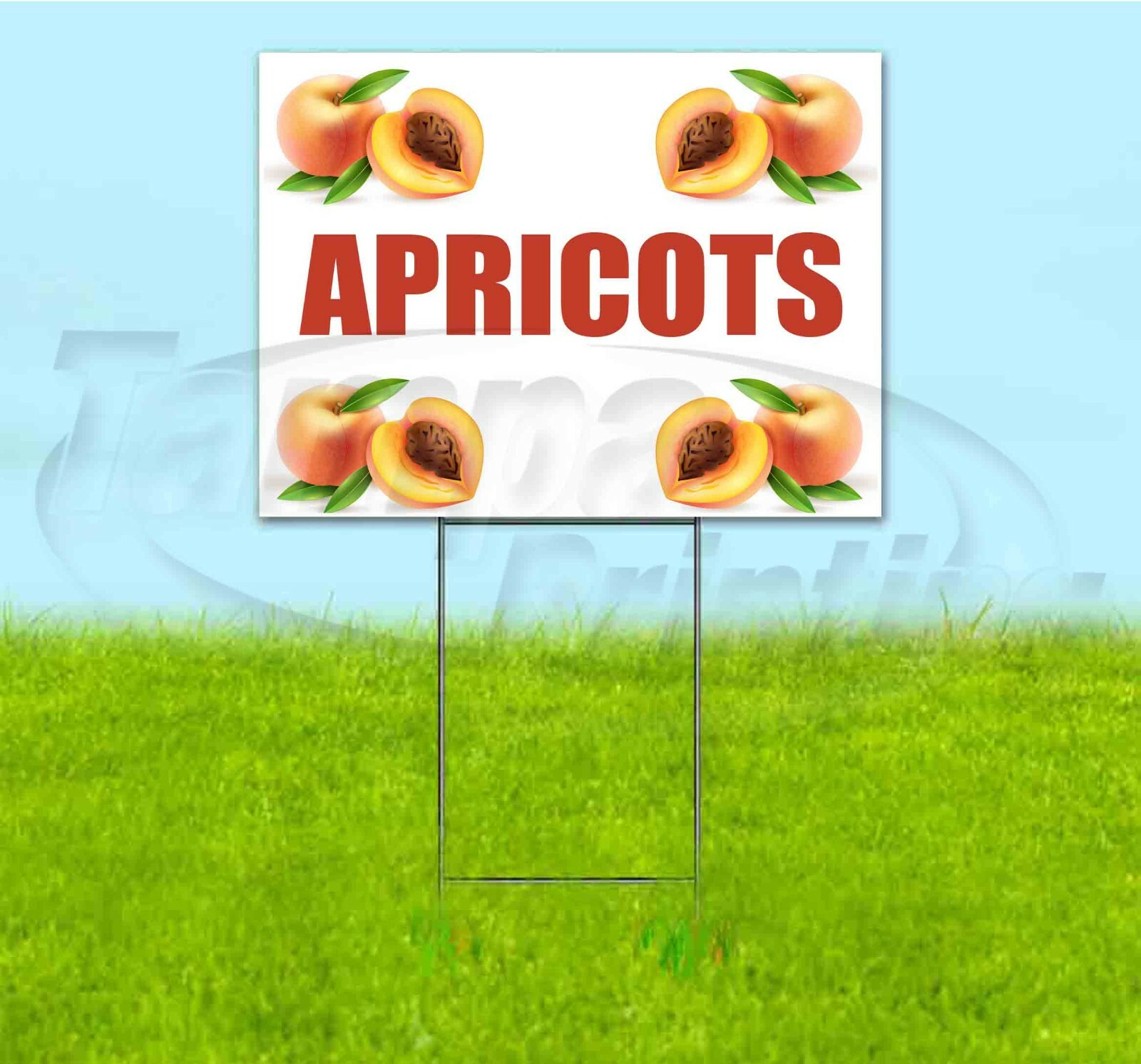 APRICOTS 18×24 Yard Sign WITH STAKE Corrugated Bandit USA BUSINESS PRODUCE