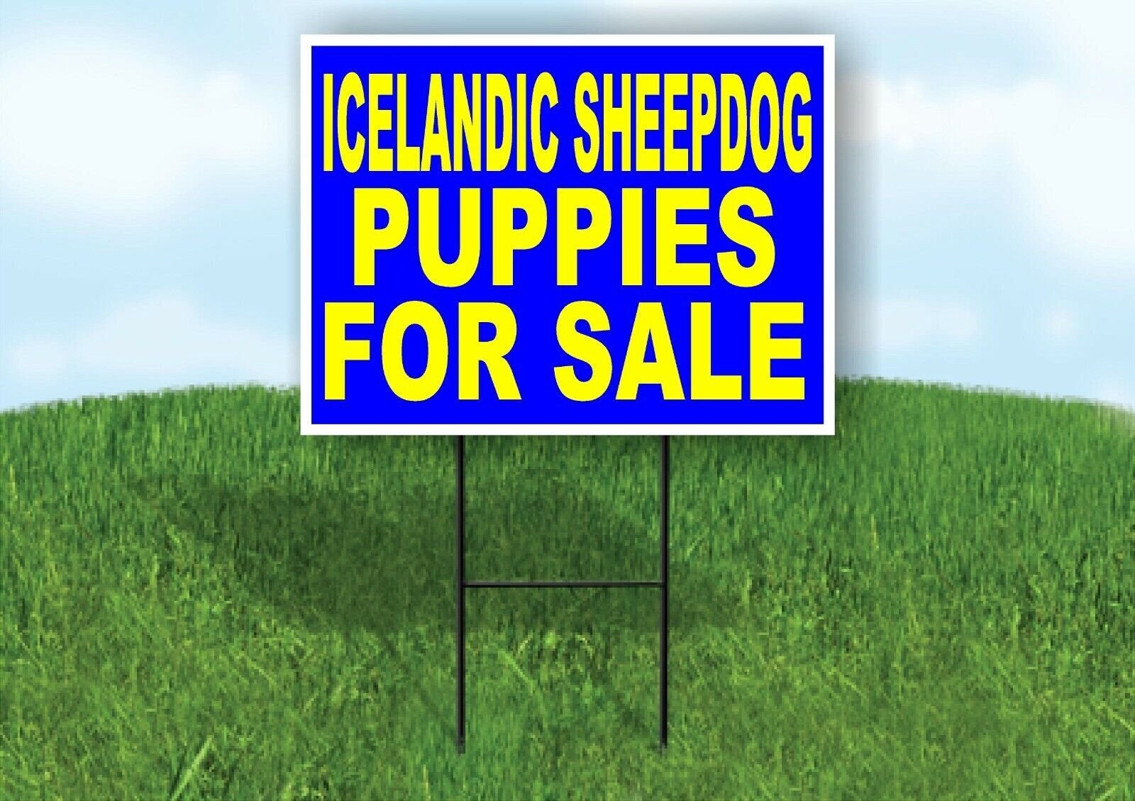 Icelandic Sheepdog PUPPIES FOR SALE YELLOW Yard Sign Road with Stand LAWN SIGN