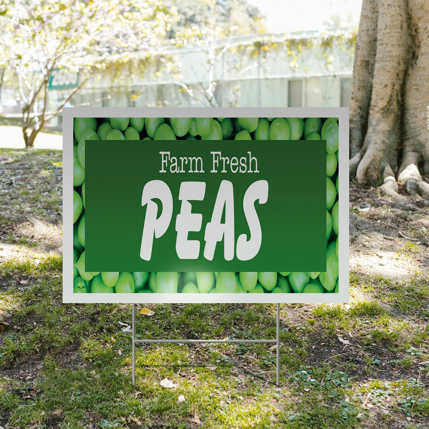Farm Fresh Peas Yard Sign Fresh Vegetables, Healthy Snacks, Farmer�s Promotions