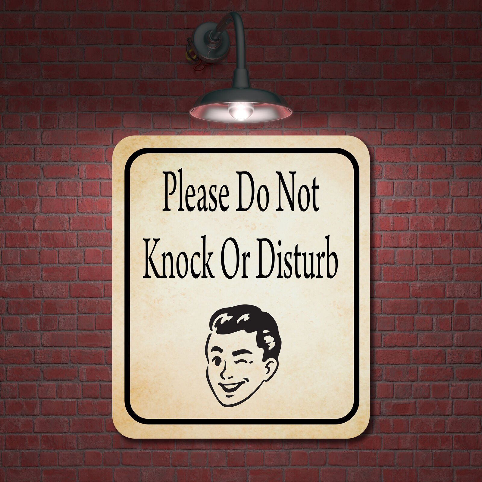 Please Do Not Knock Or Disturb WINK FACE Aluminum Composite Sign