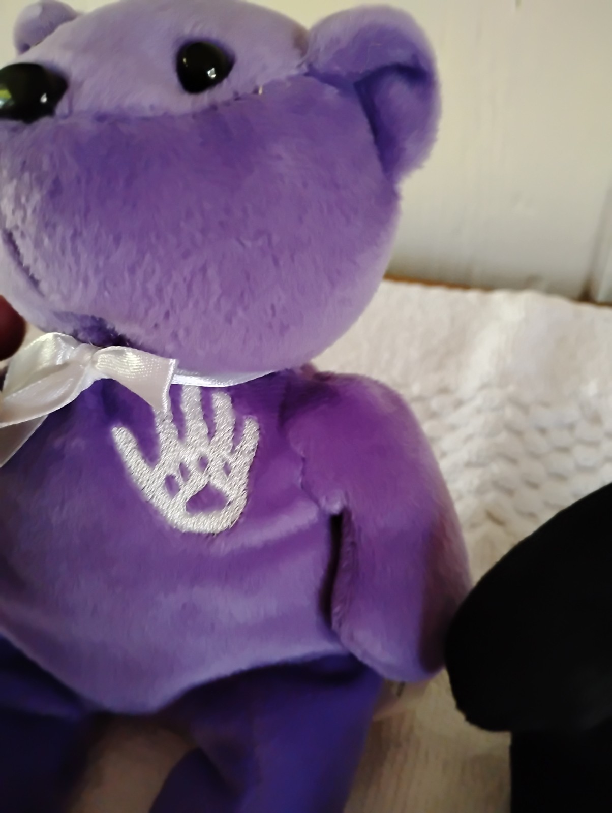 Lot of 2 Promotional Plush Bears for “The Hunger Site” /”The Rescue Site” RARE