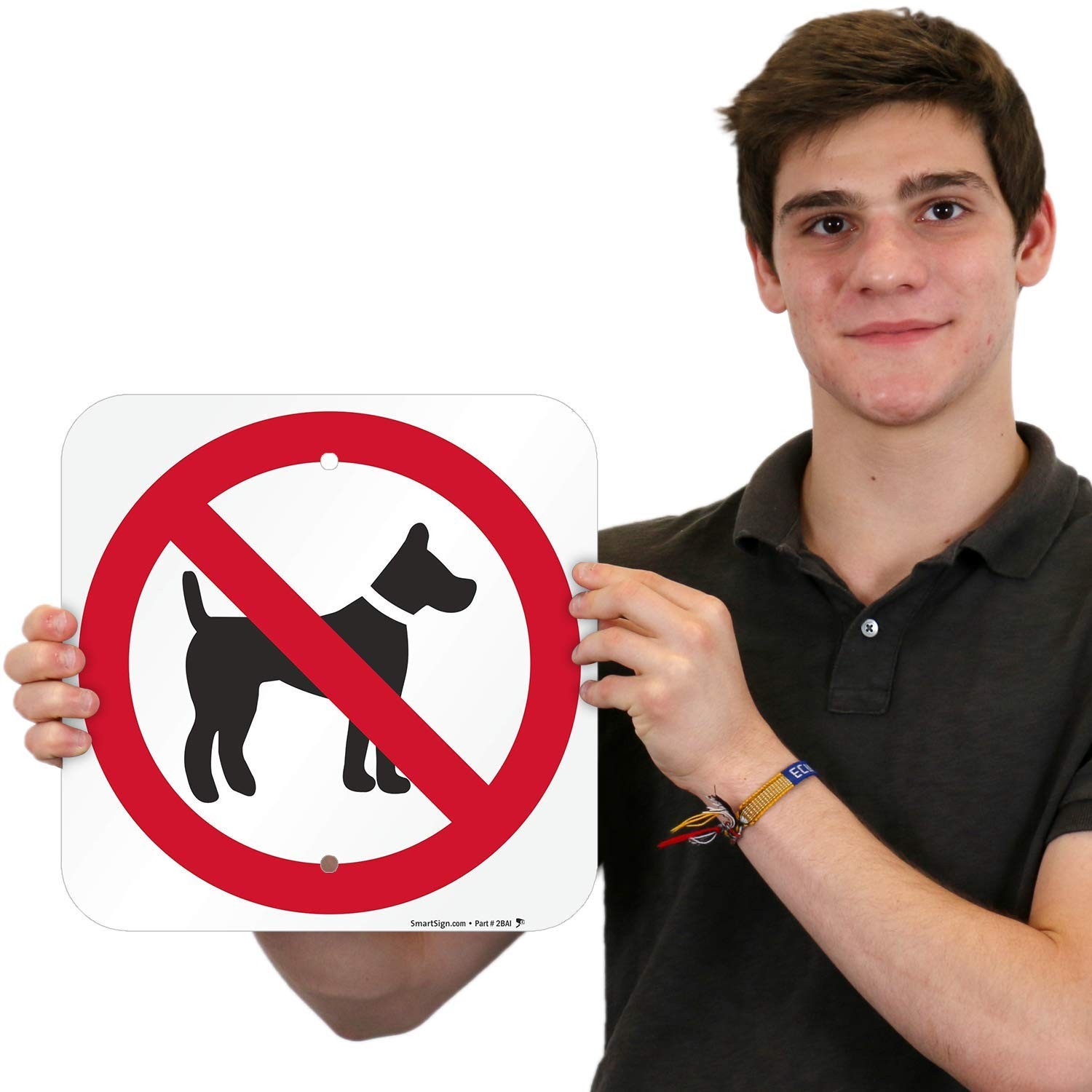 No Dogs Allowed Aluminum Sign With Graphic Durable Easy Mount Square 12 Inch