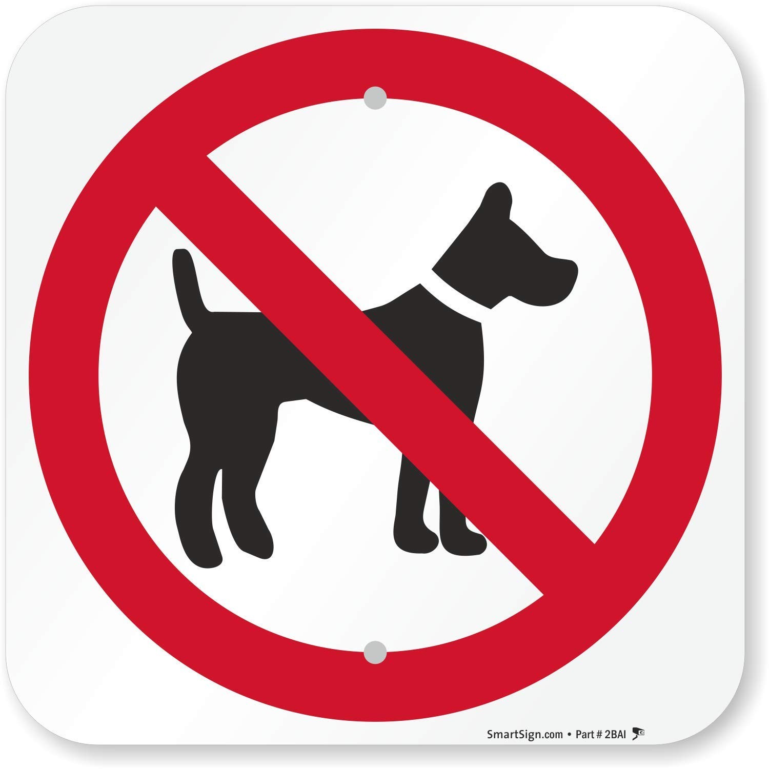 No Dogs Allowed Aluminum Sign With Graphic Durable Easy Mount Square 12 Inch