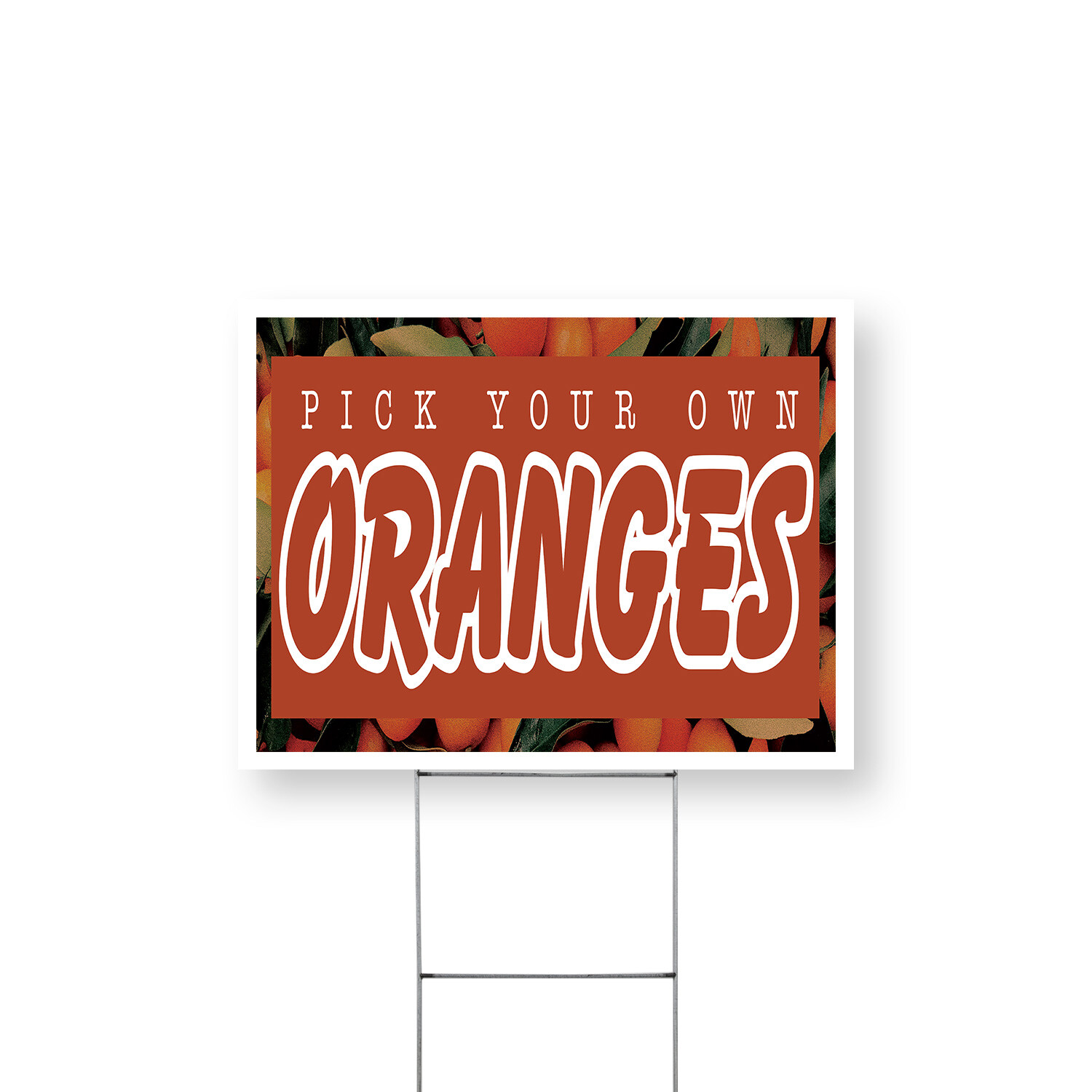Pick Your Own Oranges Yard Sign Fresh Citrus, Locally Grown, Healthy Living