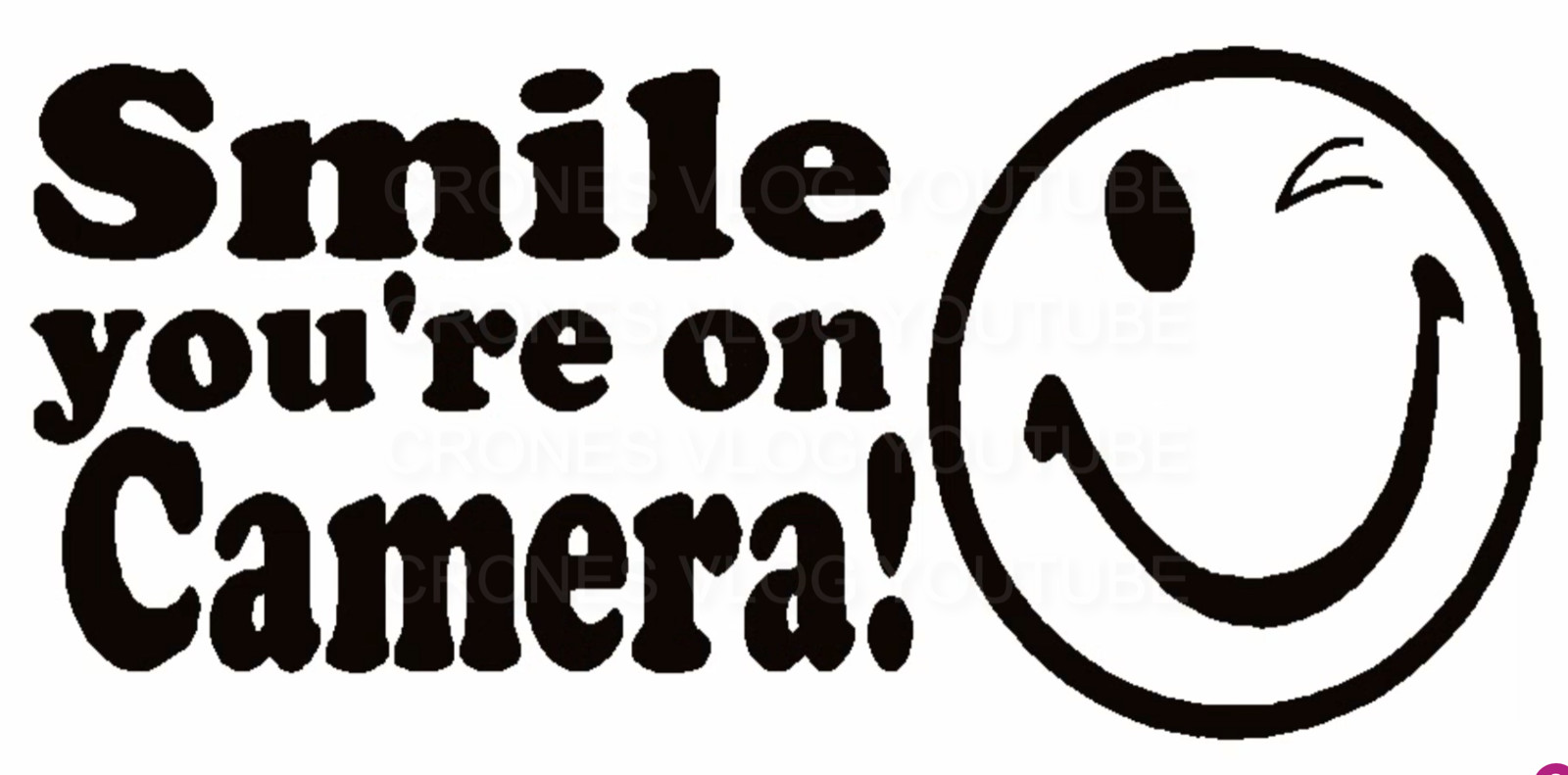 Smile You’re on Camera Sign Sticker Business Store Window Door Wall Decals
