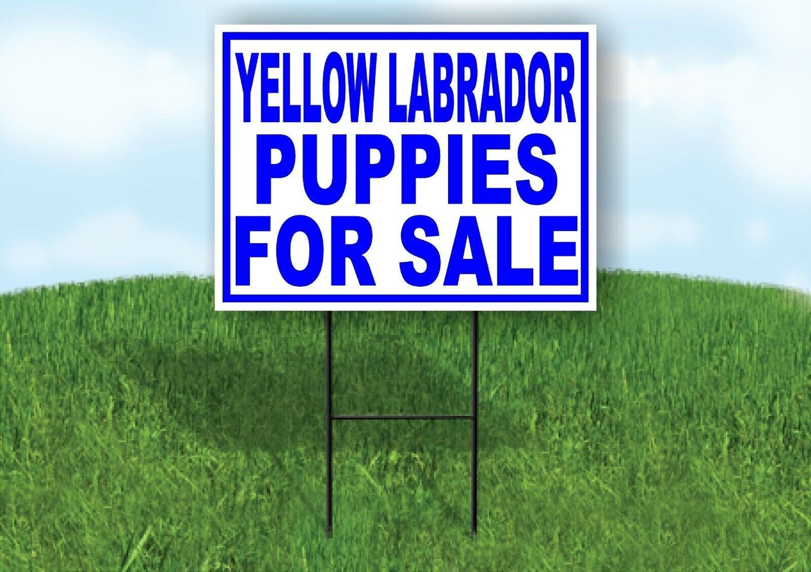 Yellow Labrador PUPPIES FOR SALE BLUE Yard Sign Road with Stand LAWN SIGN