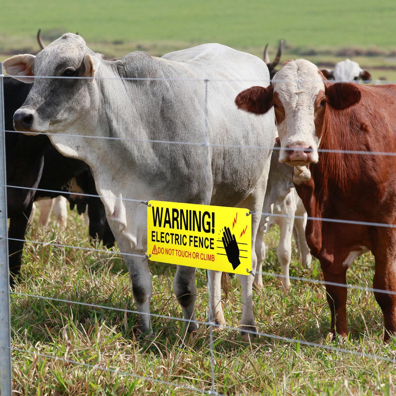Electric Fence Warning Signs 8 Pack 10 x 4 Inches Metal Reflective Yellow