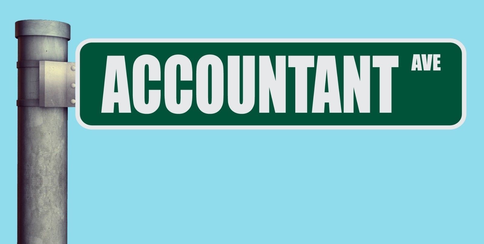 ACCOUNTANT AVE STREET SIGN AVENUE HEAVY DUTY ALUMINUM ROAD SIGN 17″ x 4″