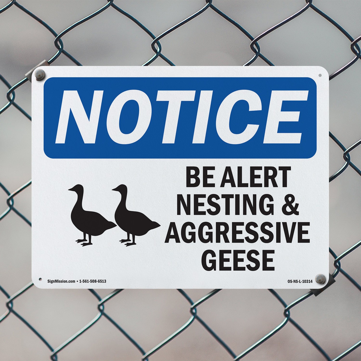 Be Alert Nesting And Aggressive Geese OSHA Notice Sign Or Decal – 5 or 10 Pack